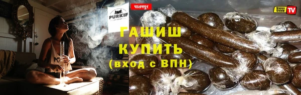 прущие грибы Алексеевка
