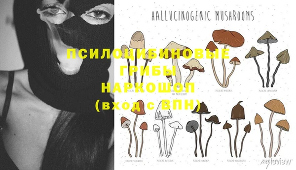 не бодяженный Абаза