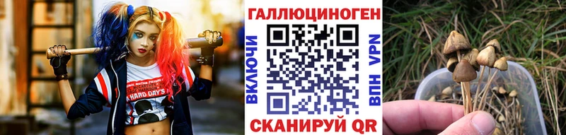 Галлюциногенные грибы MAGIC MUSHROOMS  мега ТОР  Нальчик 